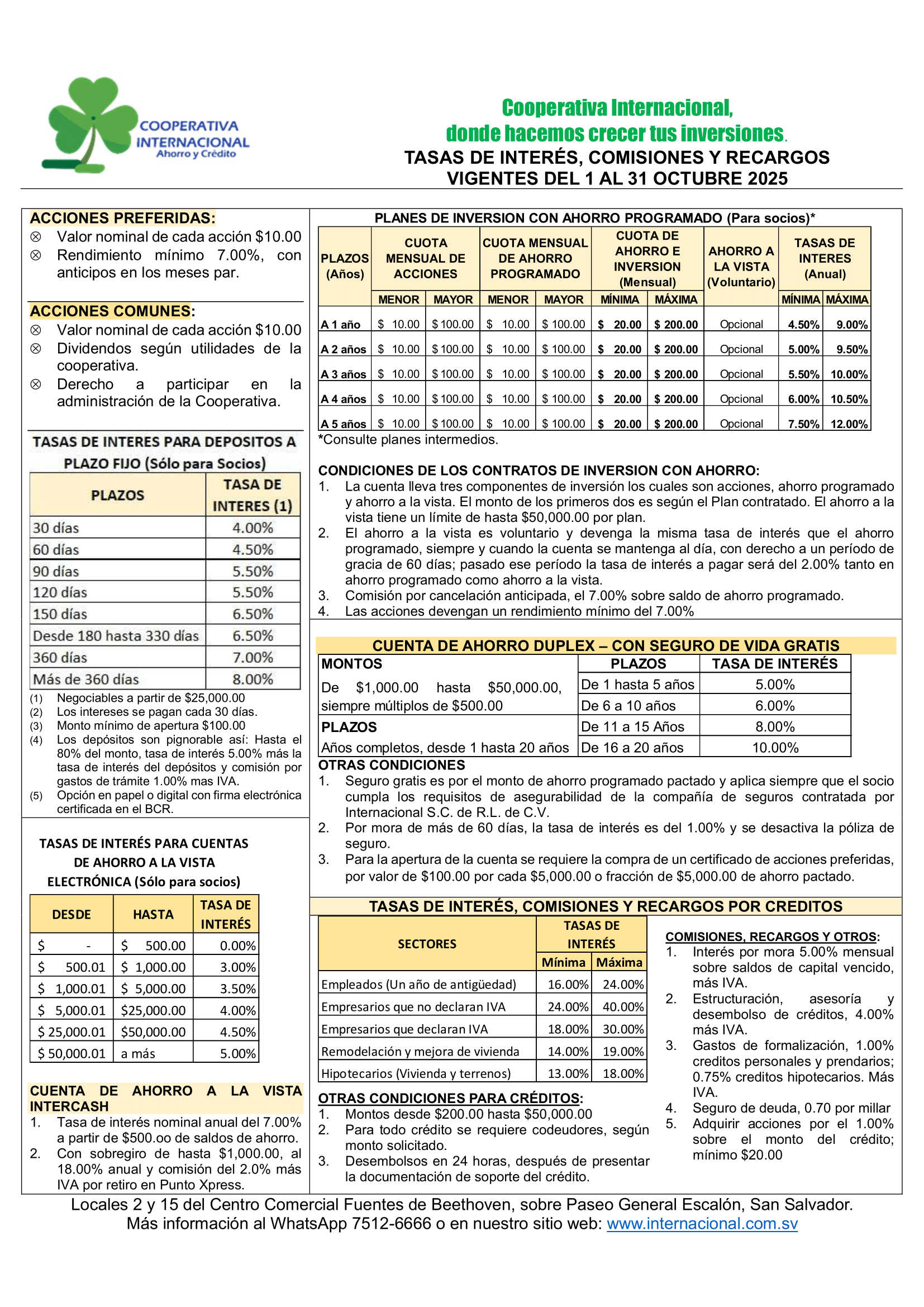 Vista previa del PDF